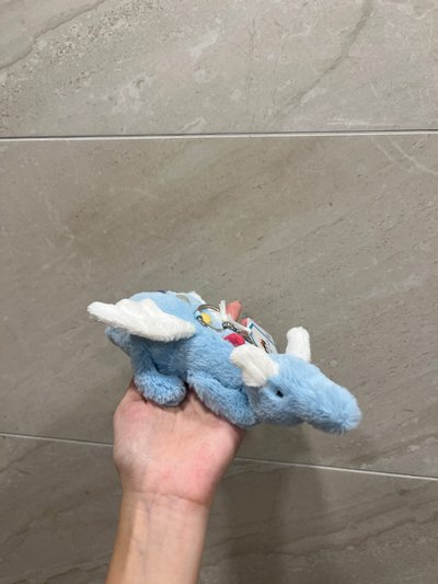 🤍現貨2 天空龍吊飾