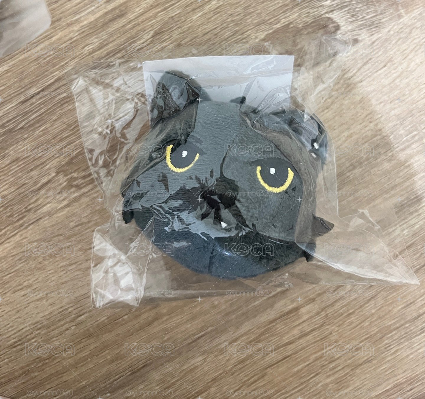 🐈‍⬛日巡大頭