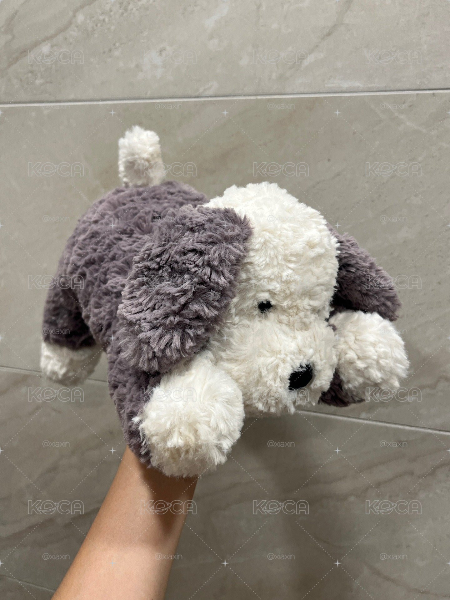 🤍預購 唐布利牧羊犬