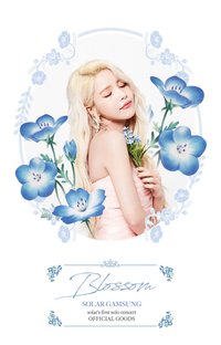Solar’s gamsung concert goods