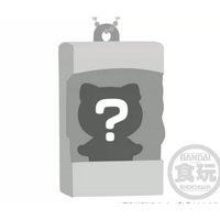 隱藏款凱蒂貓
