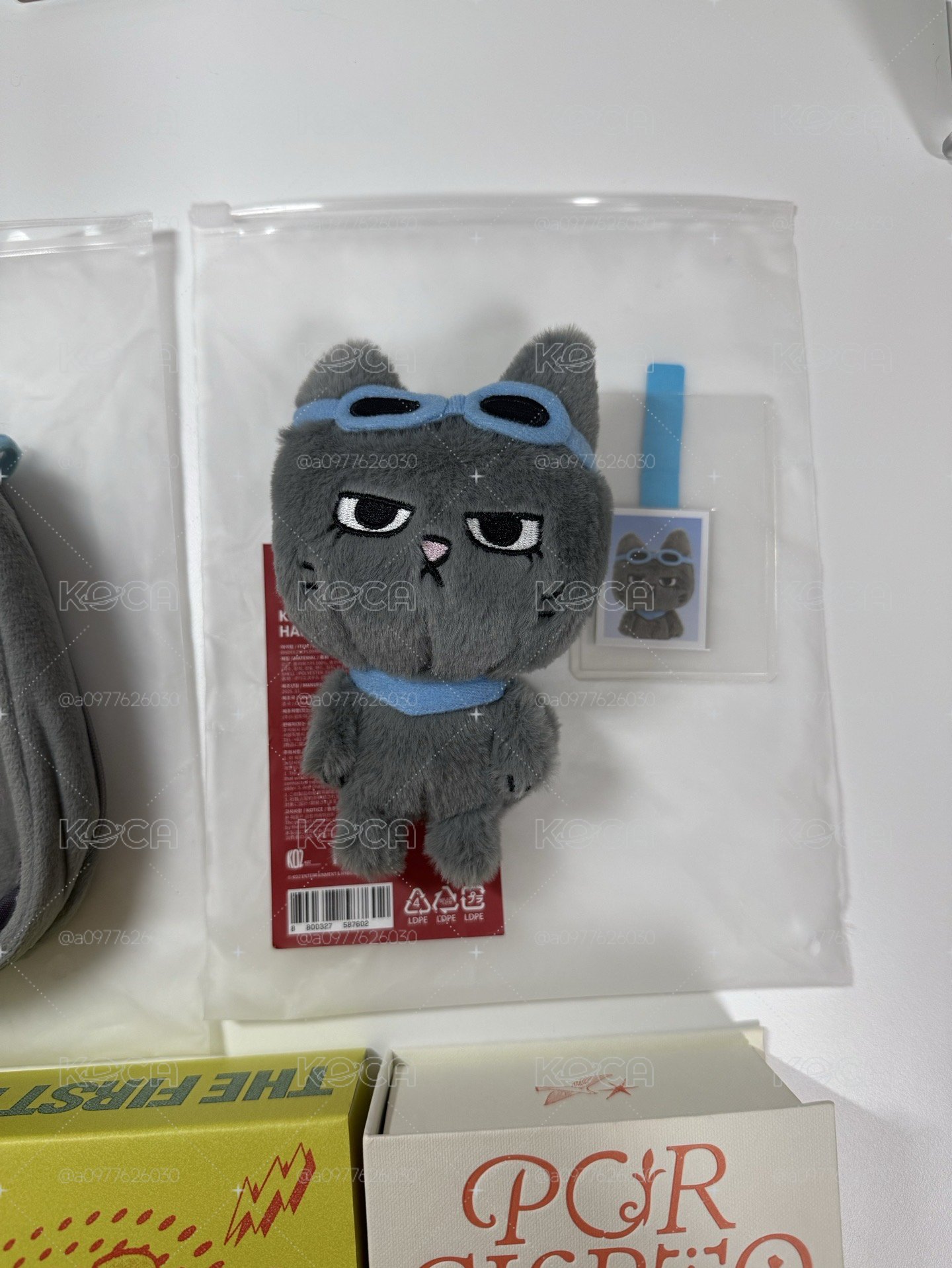 泰豐們🐈‍⬛