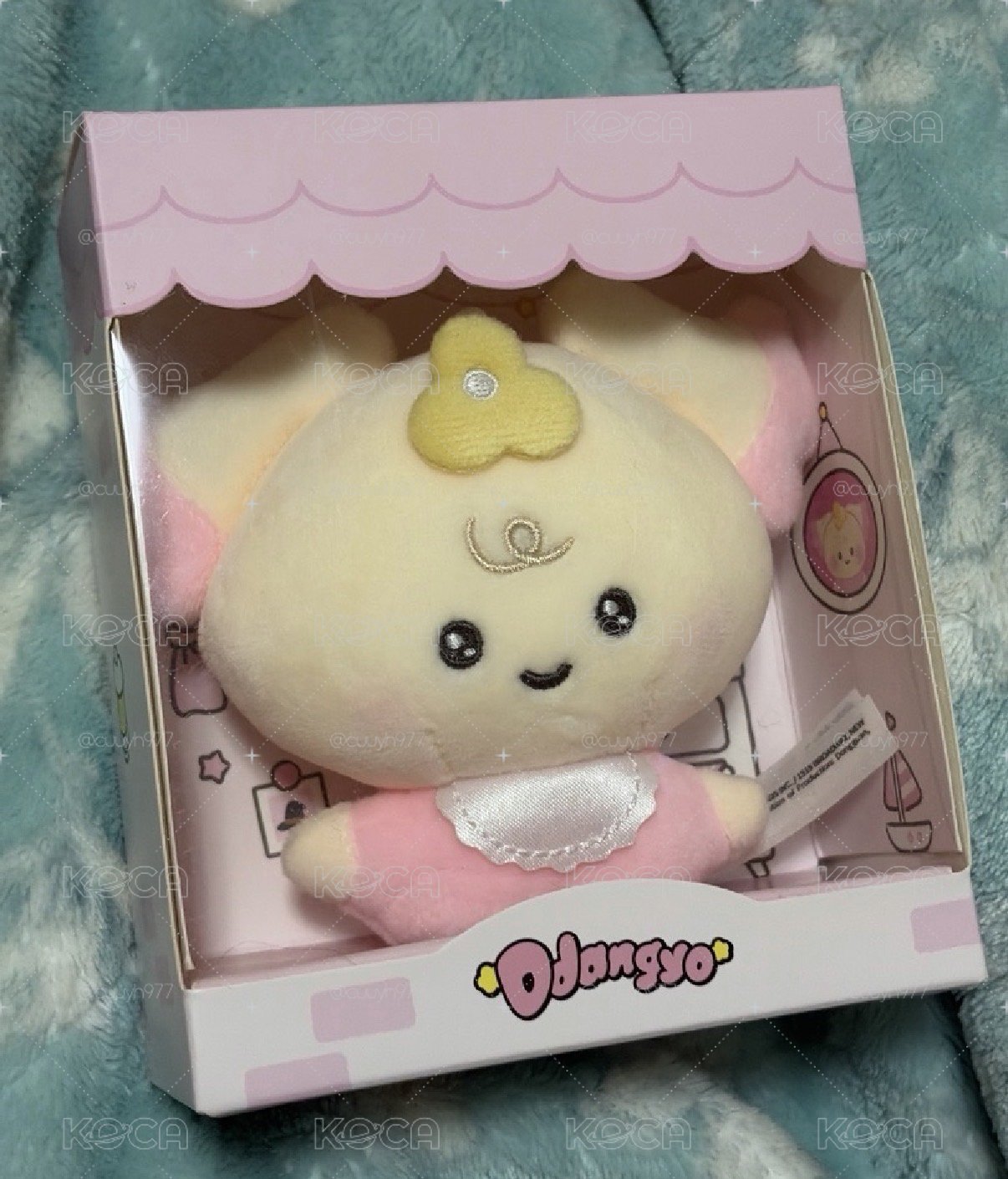 水汪汪的可愛水餃🥺