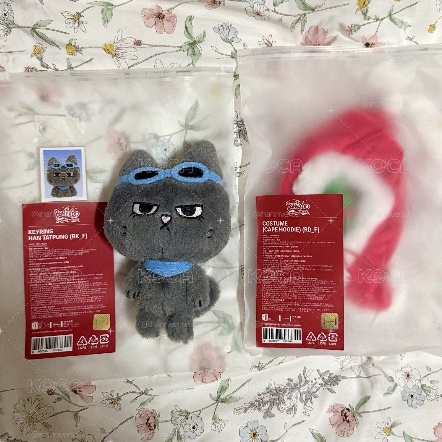 二代泰豐+聖誕斗篷