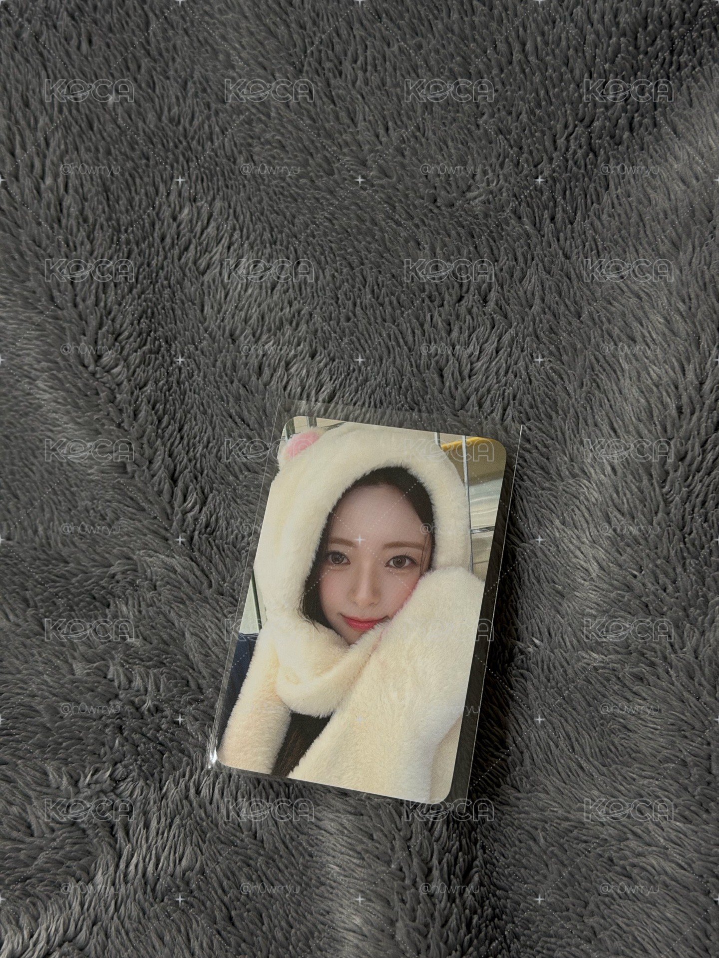 ITZY WM2.0 白熊單卡