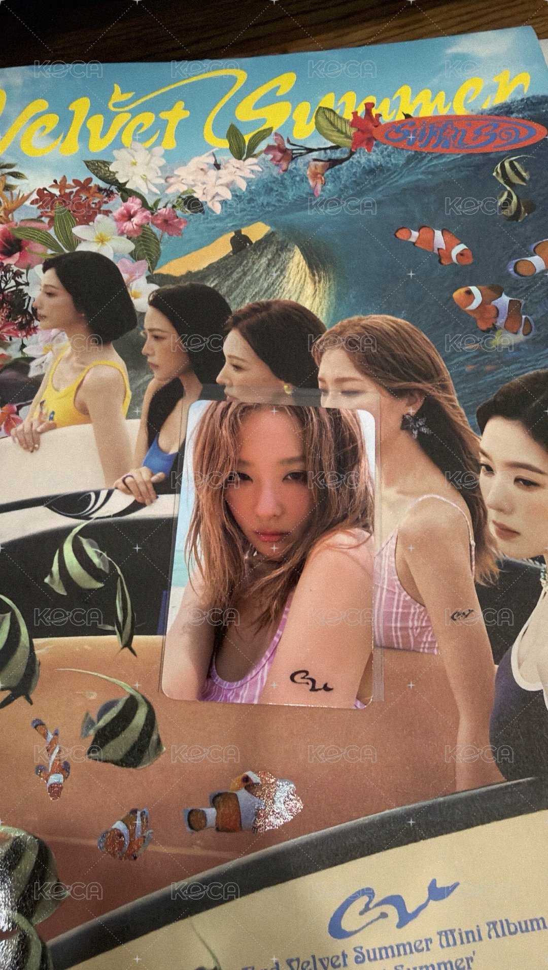 瑟琪全專(已自砍