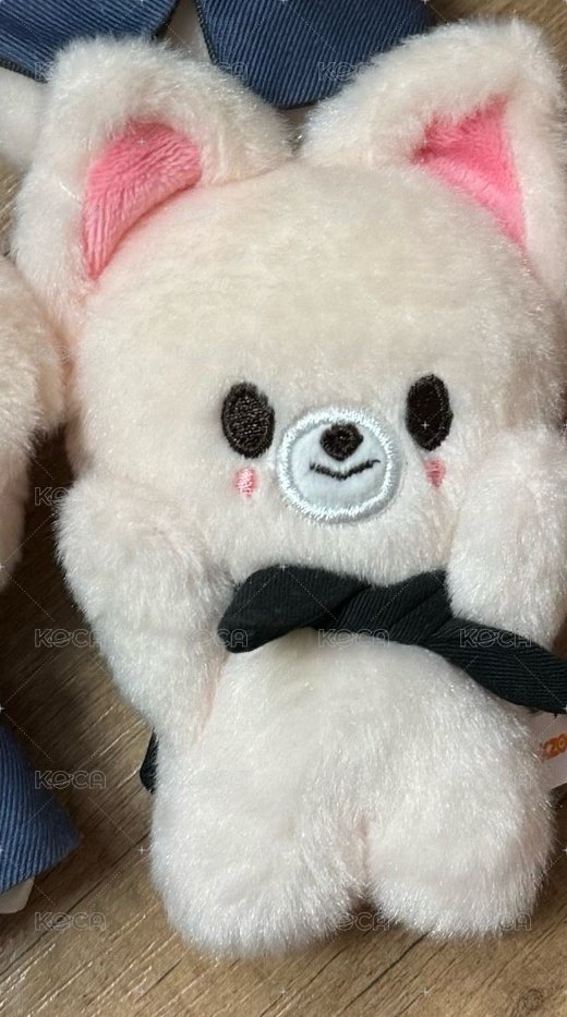 寅捧臉捆100