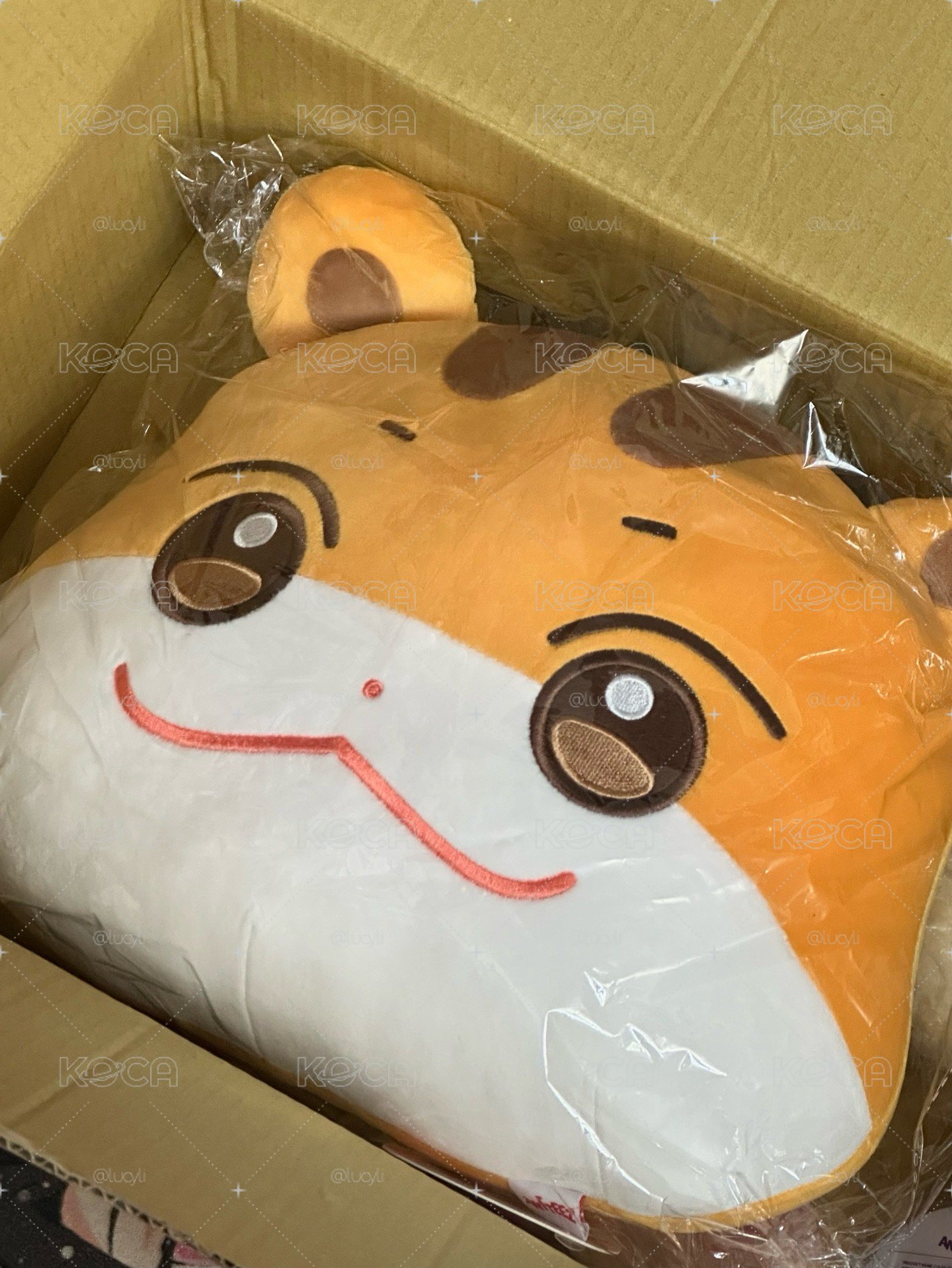 中拉米大抱枕