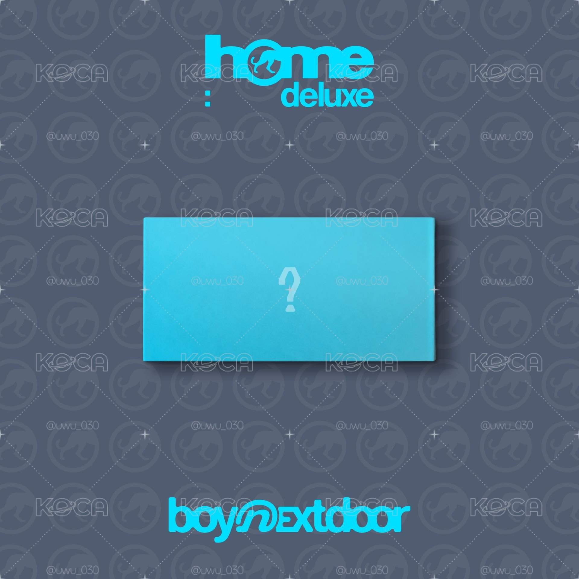 HOME:DELUXE 電子專