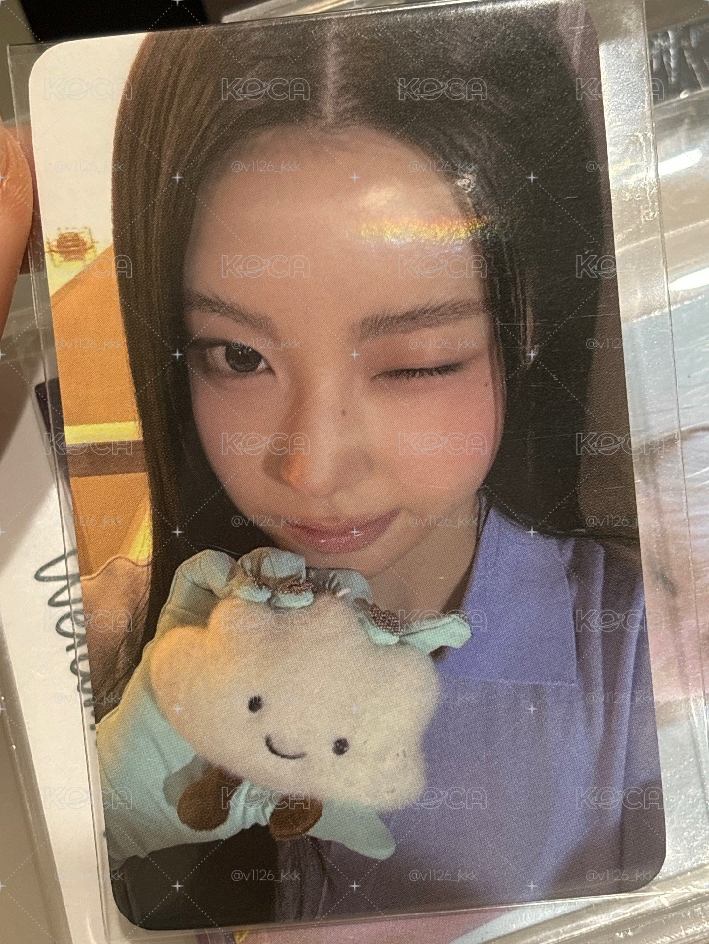 預售圭