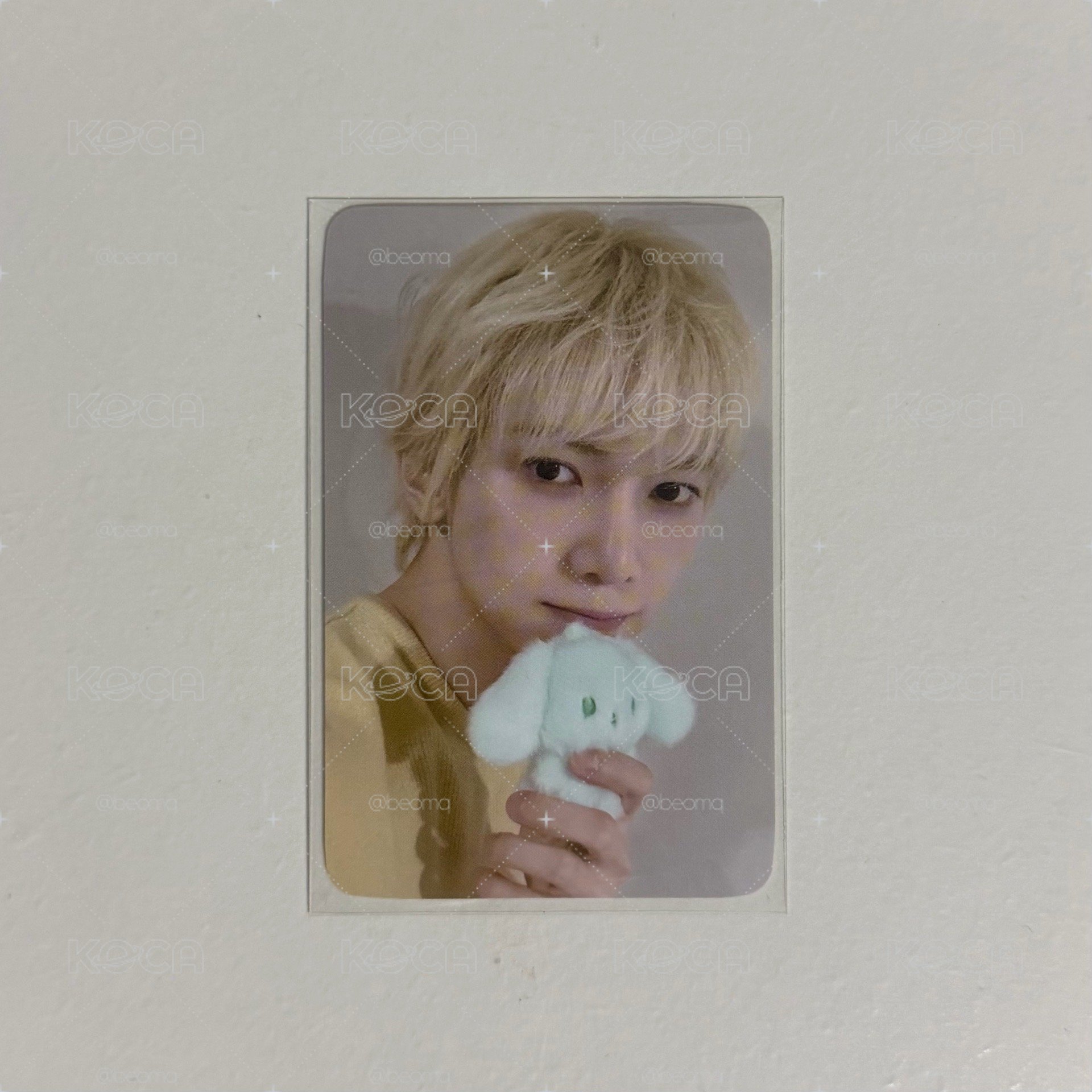 ANITEEZ IN COLOR 異色娃卡 尚