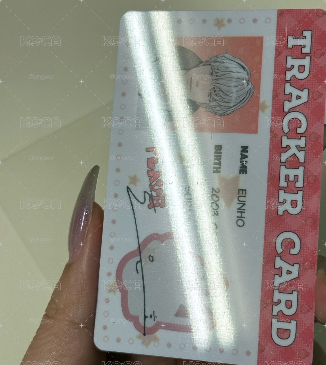 26SG 年曆銀虎小卡set