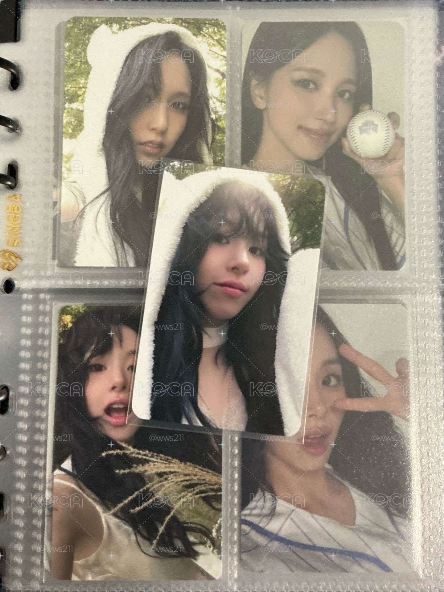 彩sw熊帽