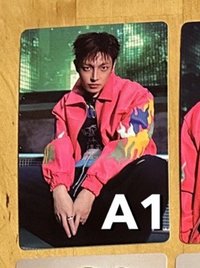 A1