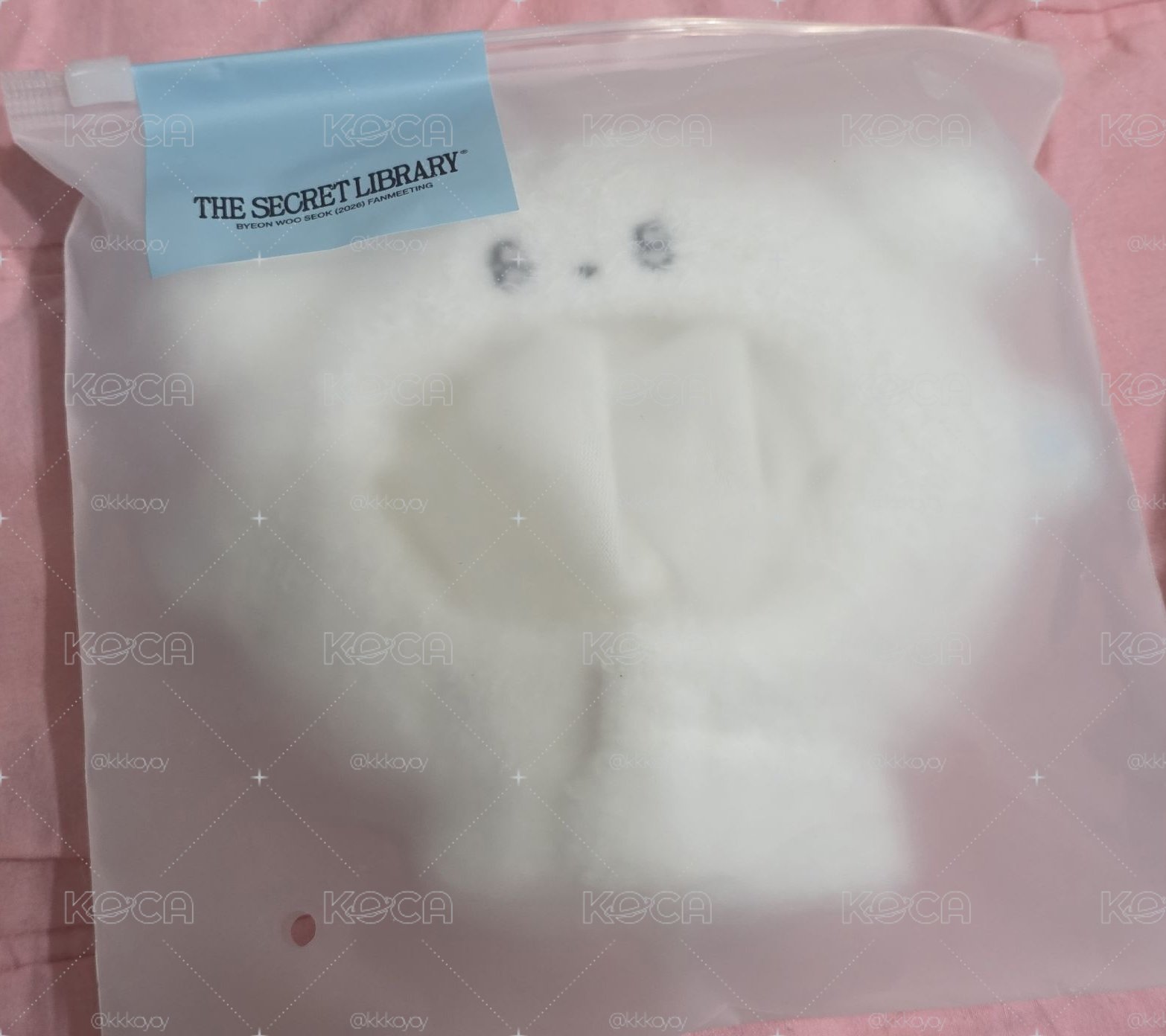 現貨 邊佑錫手燈套