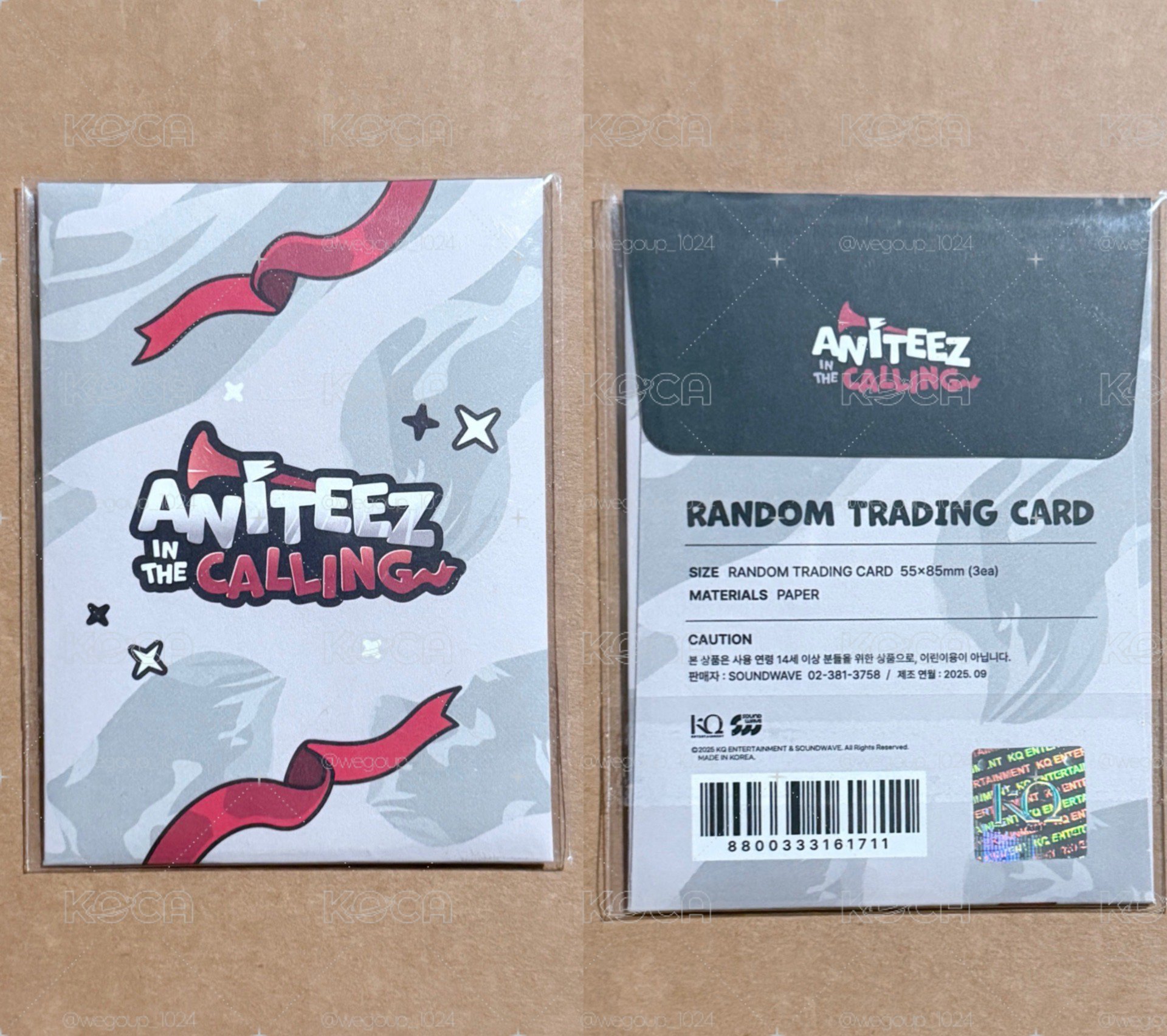 ANITEEZ IN THE CALLING 未拆卡包 