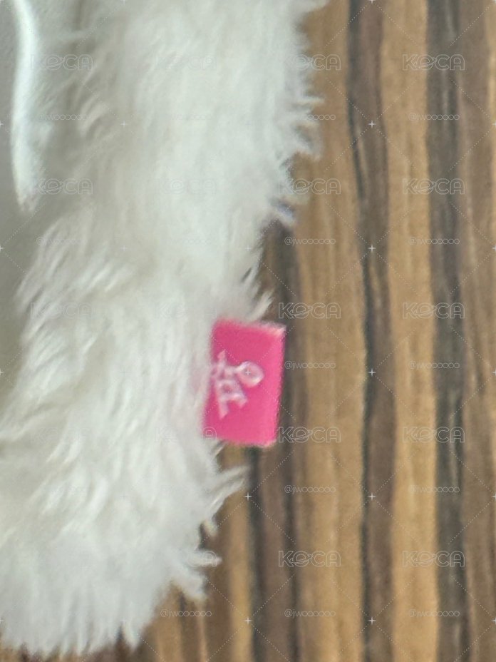 Sakuya絨毛卡套