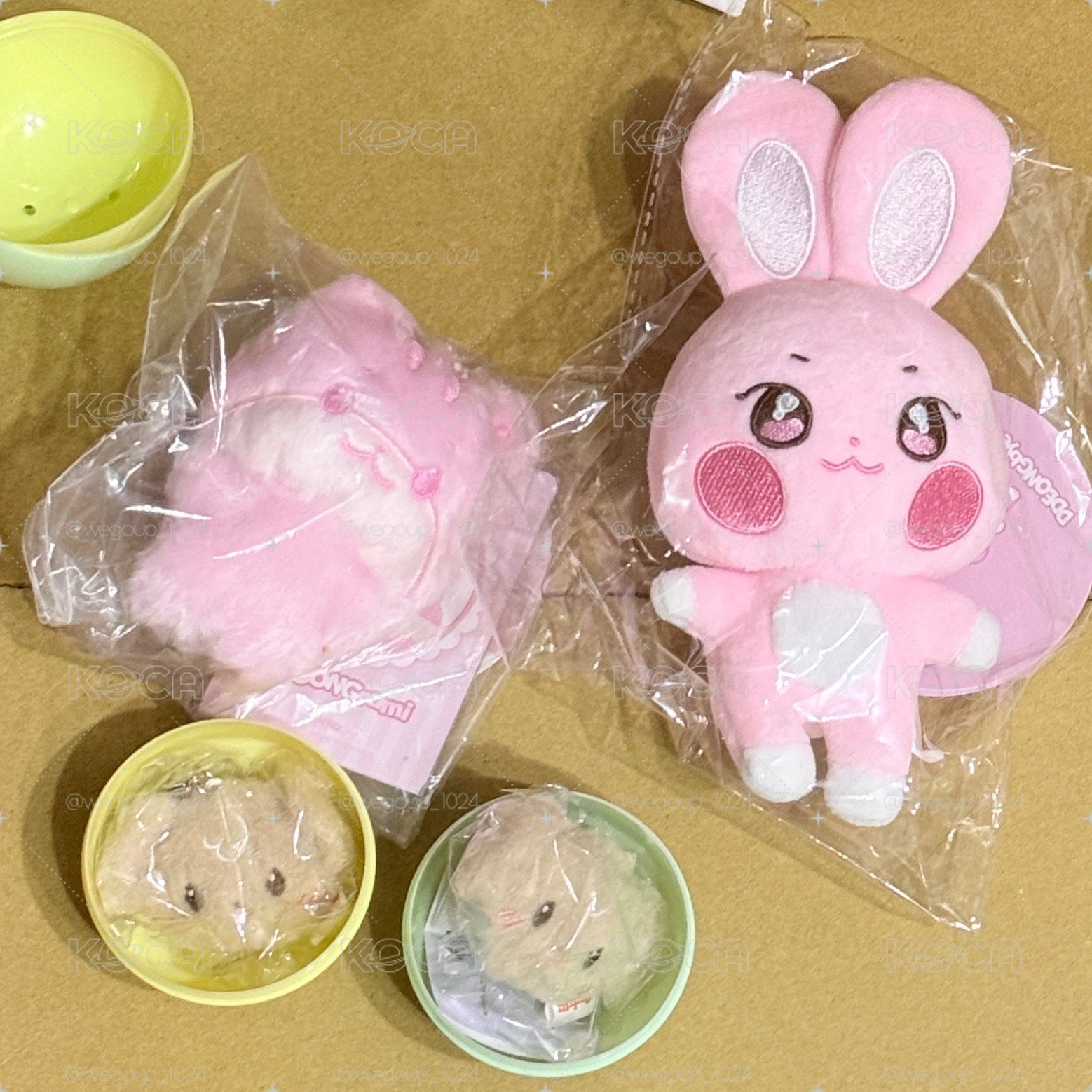 ANITEEZ現貨