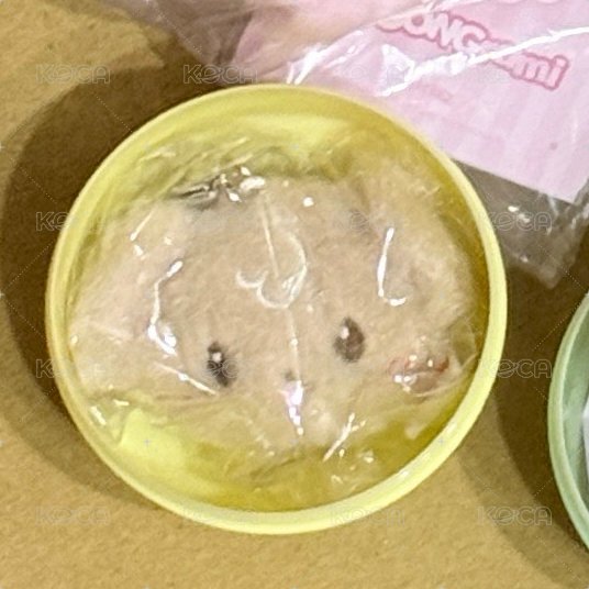 扭蛋吊飾潤