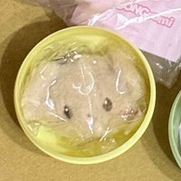 扭蛋吊飾潤
