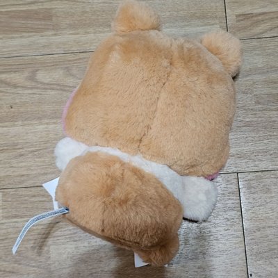 彬尼尼 zeroni HOME PARTY  中娃 蝴蝶結娃