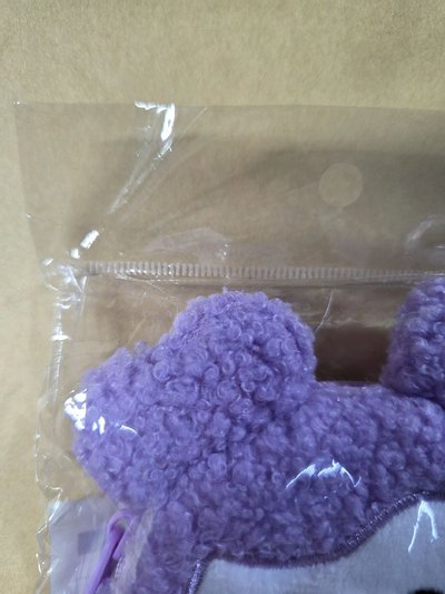 六巡 新國立 耳機包 💜紗紗
