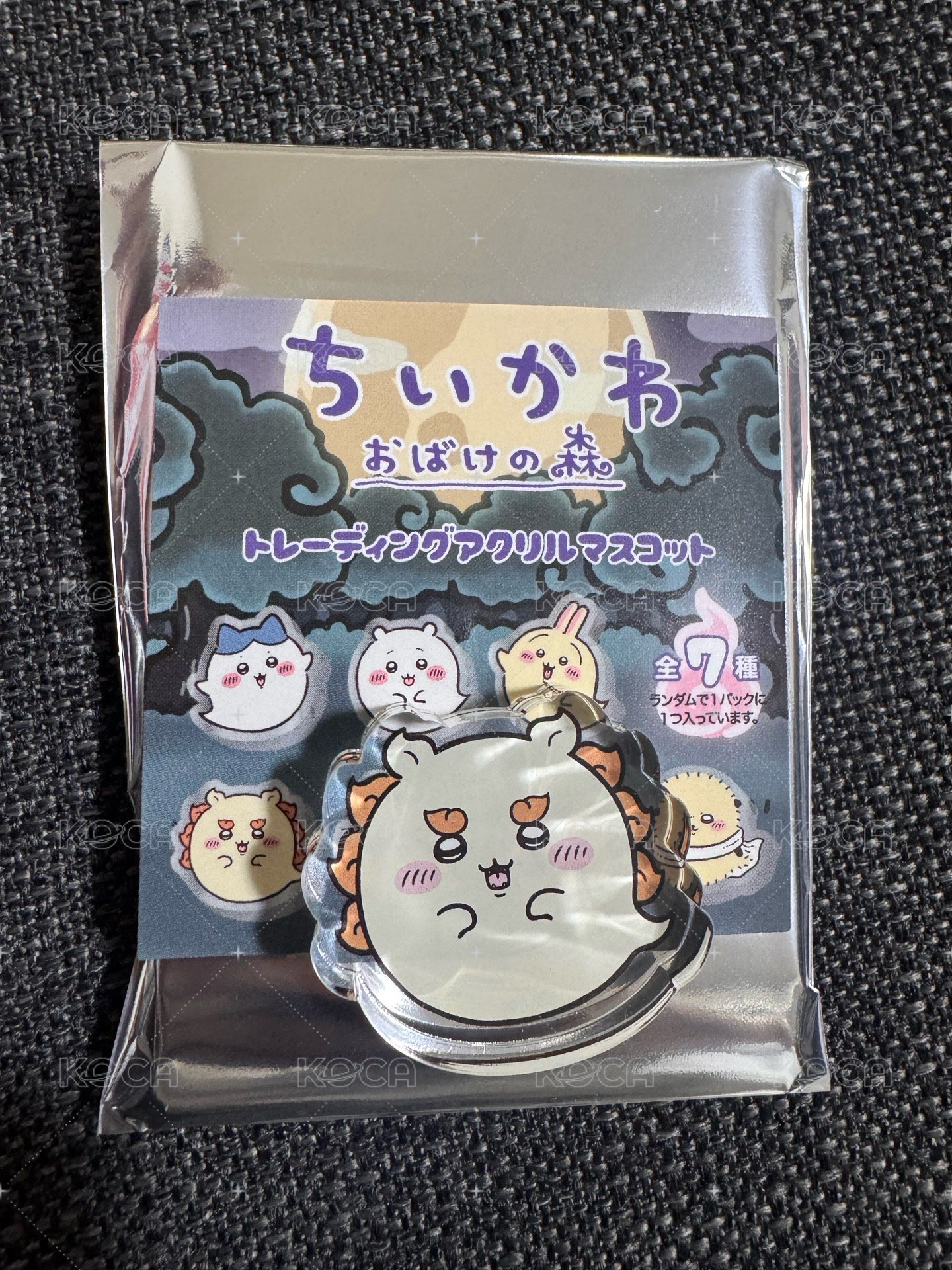 幽靈壓克力獅薩