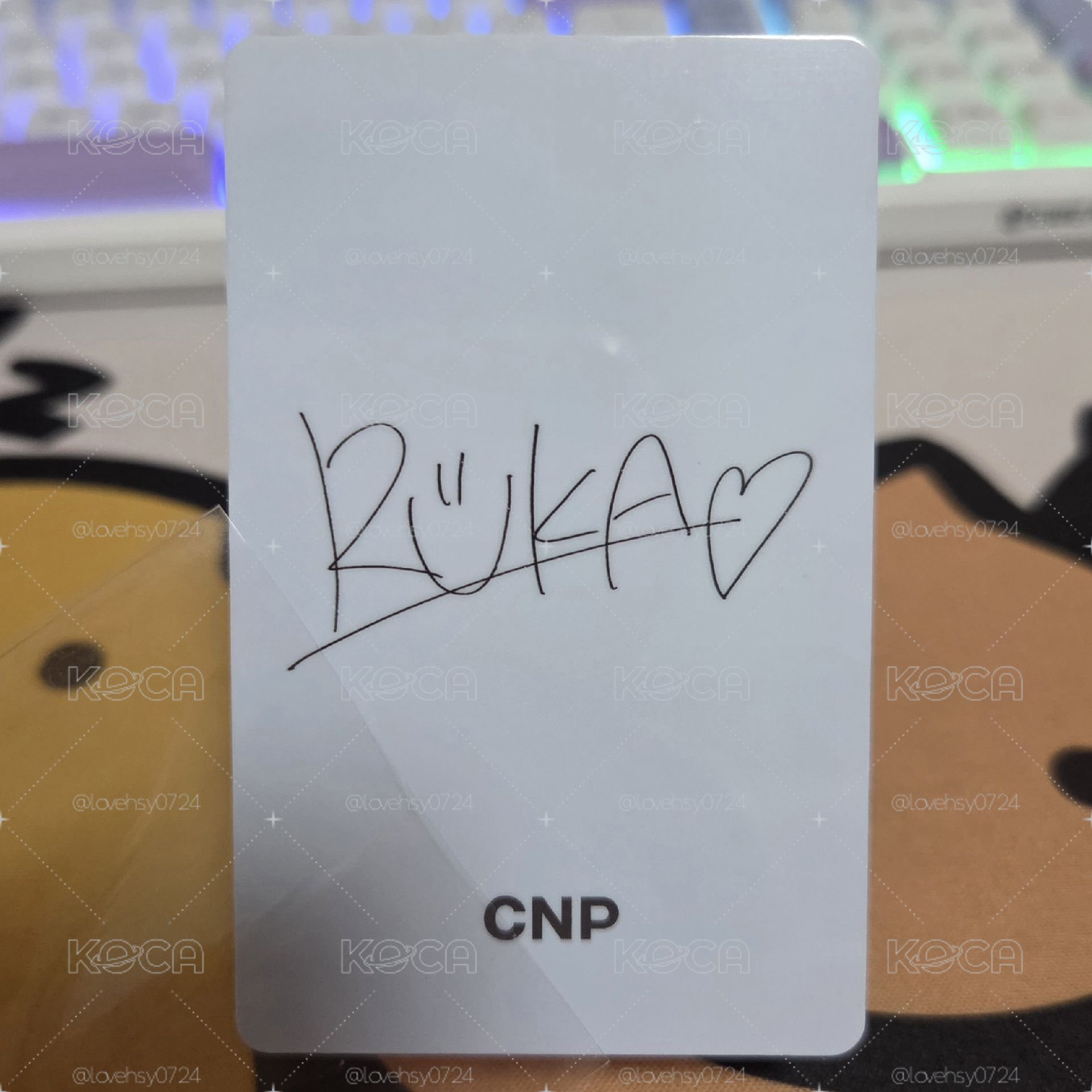 CNP1.0代言露