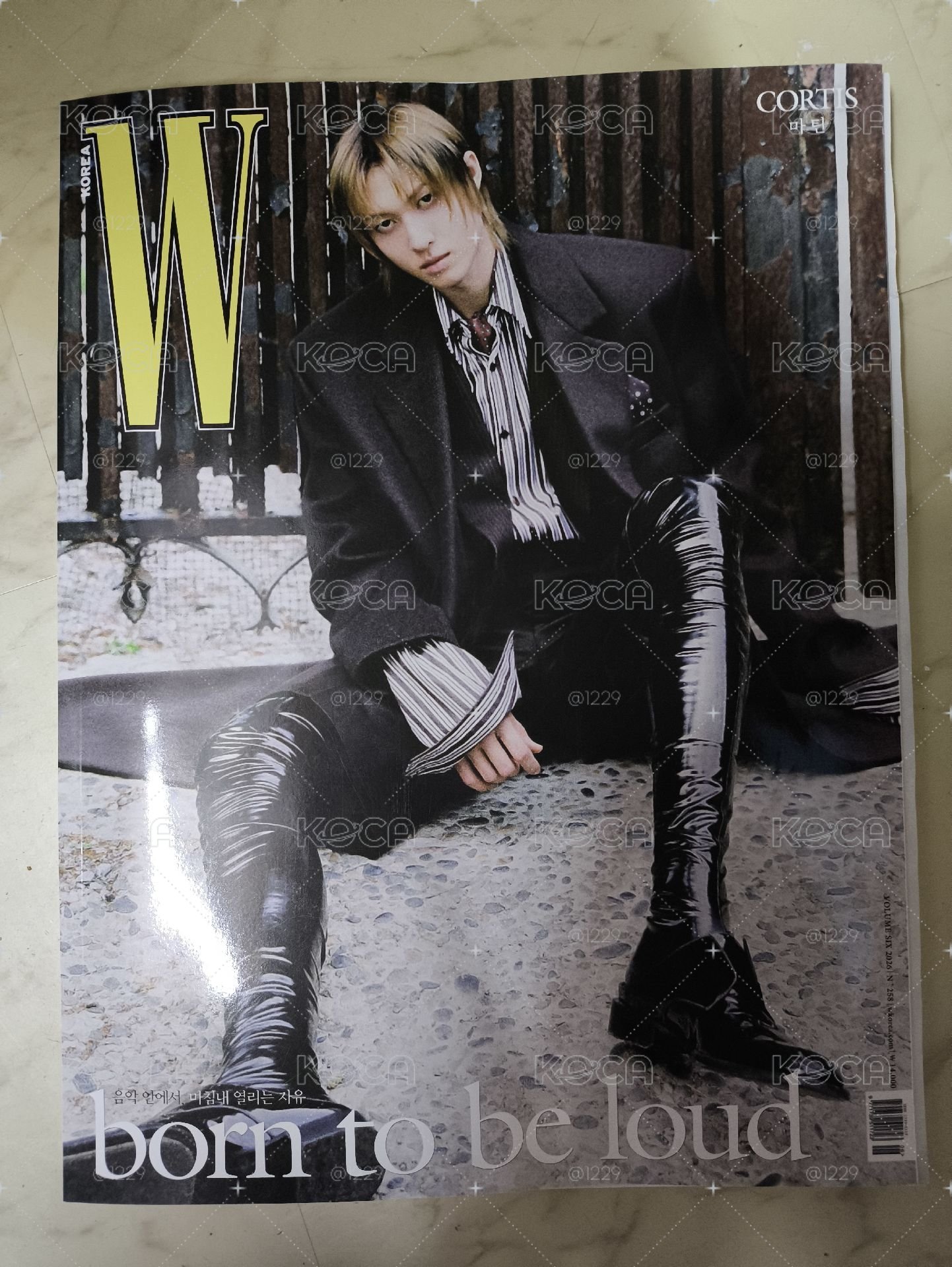 雜誌