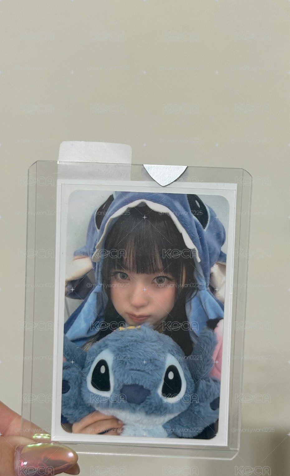 🐻‍❄️史迪奇圭