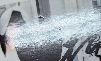 羽拍立得