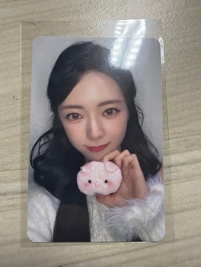 TNVS ms深圳小豬豬