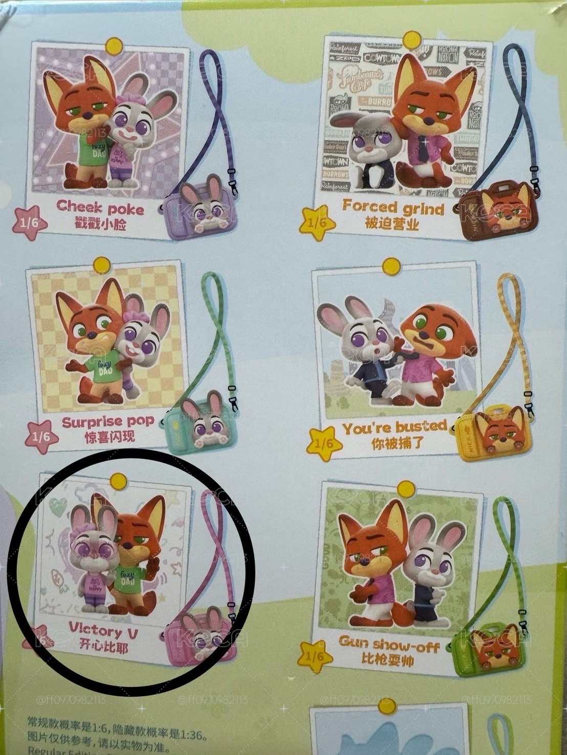 動物方程式🐰🦊
