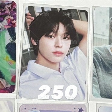 250（1）