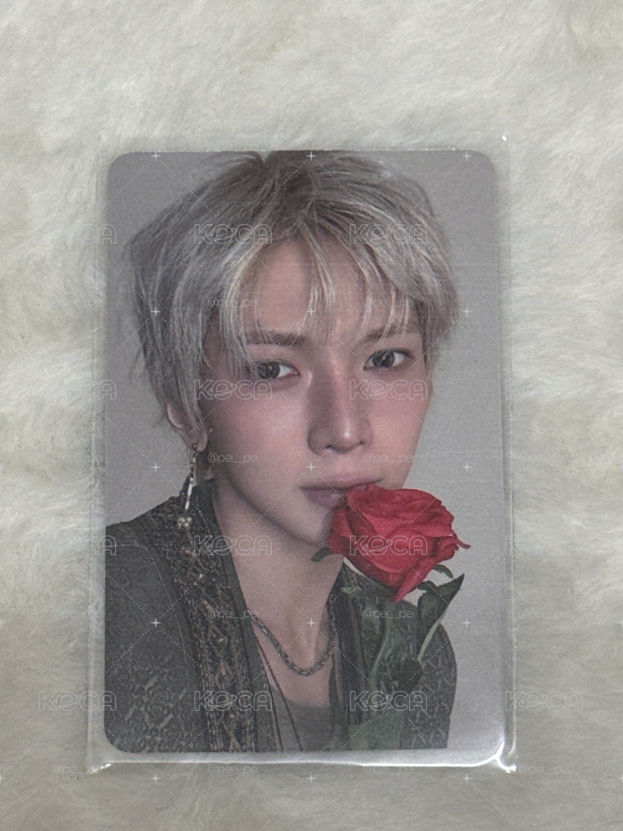 GH5 am 薔薇尚