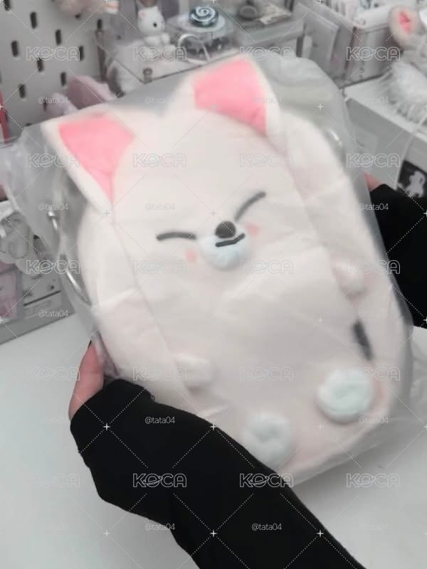 𝐬𝐭𝐫𝐚𝐲𝐤𝐢𝐝𝐬  現貨寅手燈提袋直出🎀