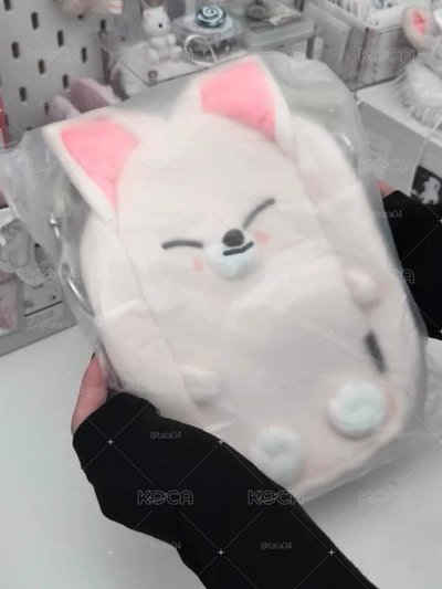 𝐬𝐭𝐫𝐚𝐲𝐤𝐢𝐝𝐬  現貨寅手燈提袋直出🎀