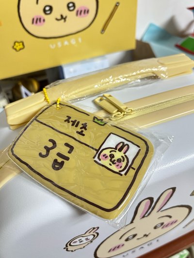 韓國限定 手提行李箱 烏薩奇