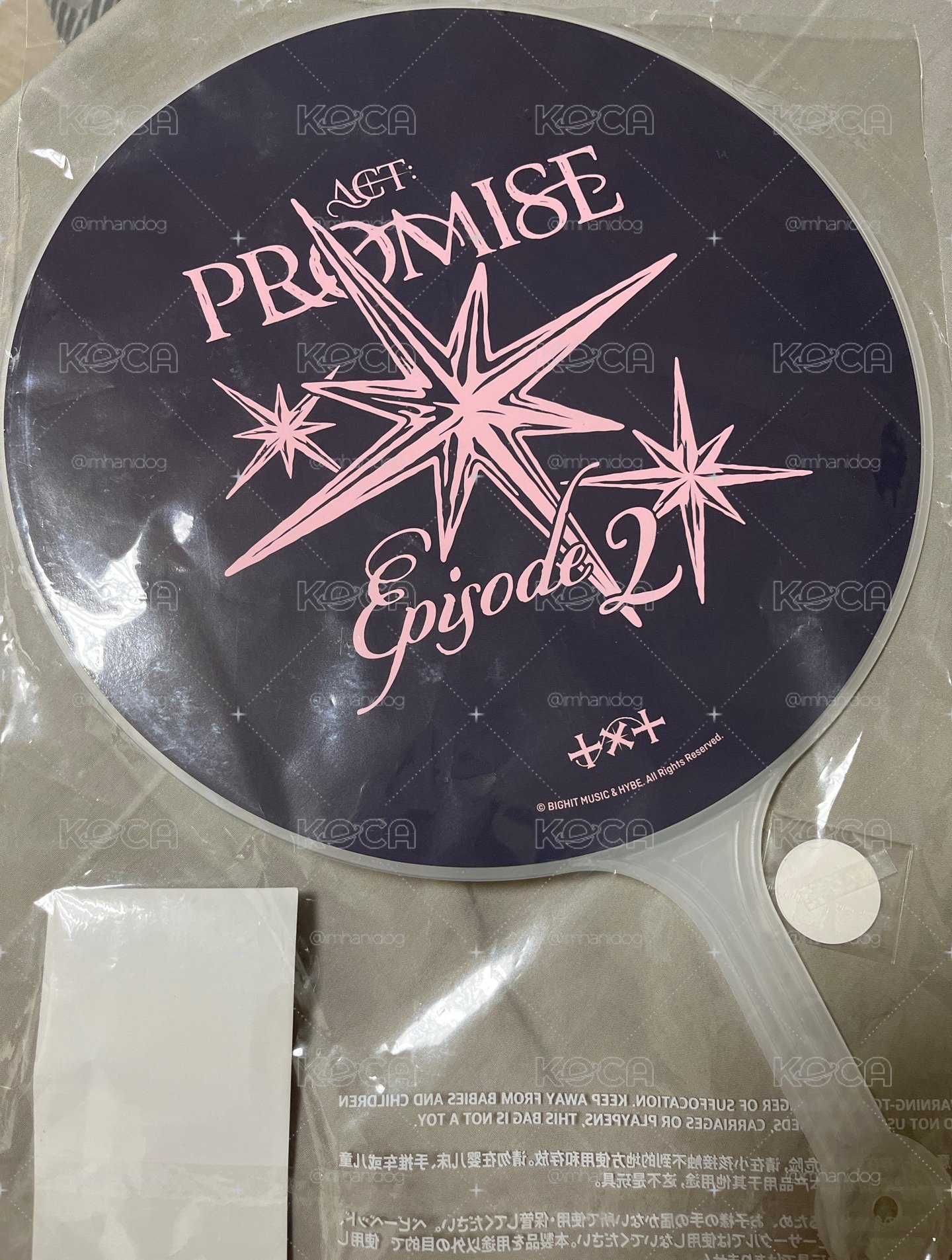 然竣大王扇