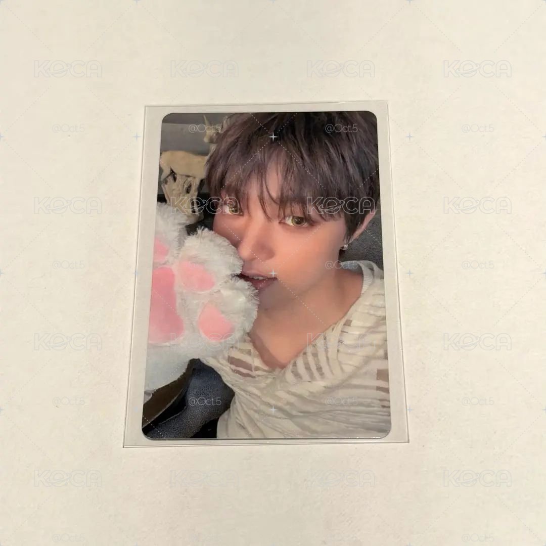 &TEAM *ੈ✩‧₊埼玉限定 粽卡