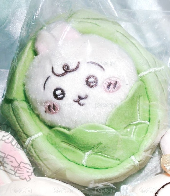 高麗菜兔兔