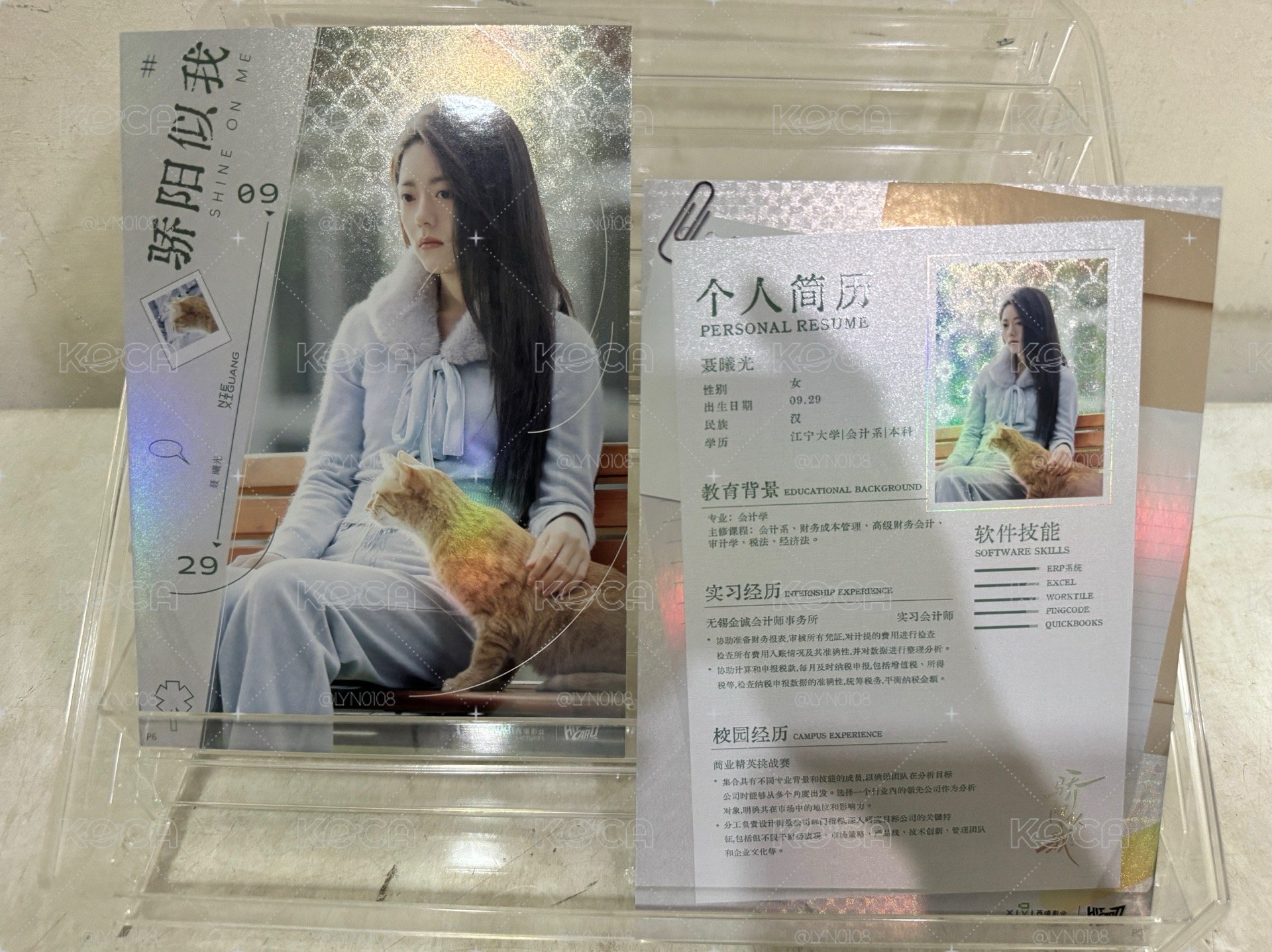 驕陽似我 A5大卡 宋威龍 趙今麥 賴偉明