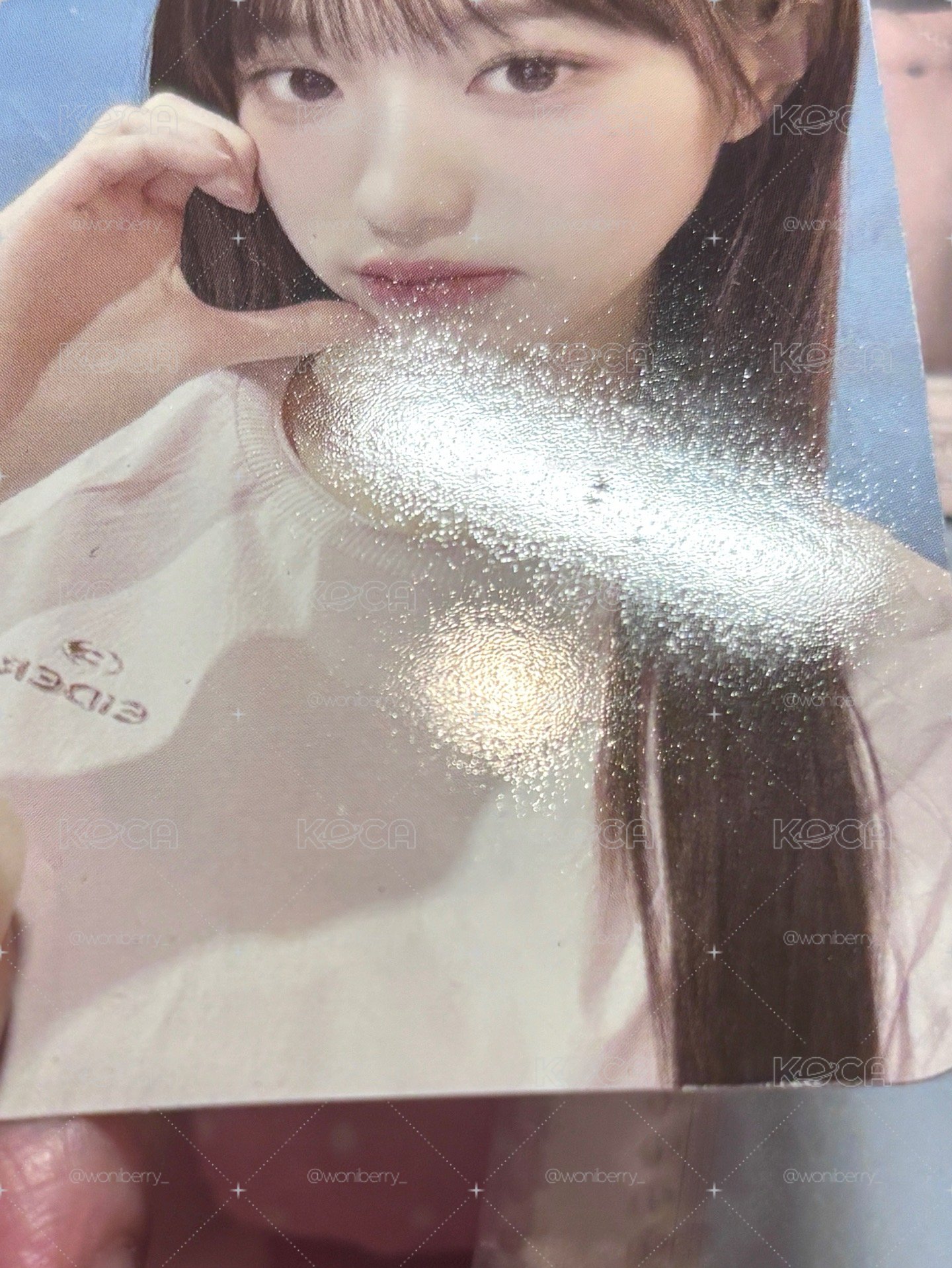 eider藍底員