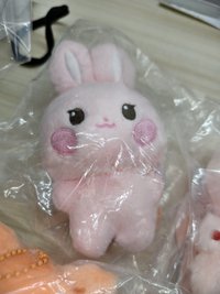 寶寶星（無卡）