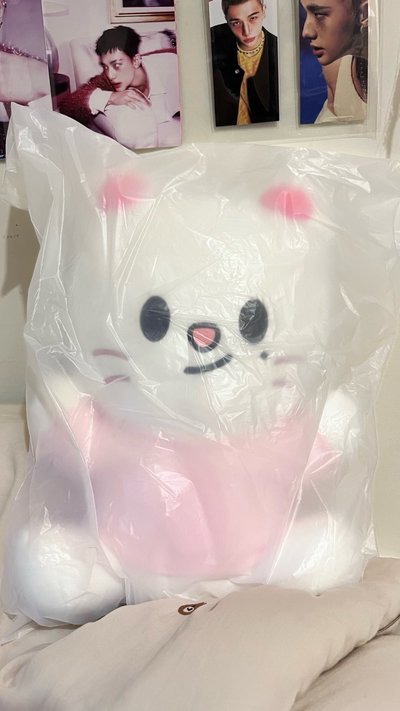 SKZOO全球快閃大抱抱娃 辰 菲