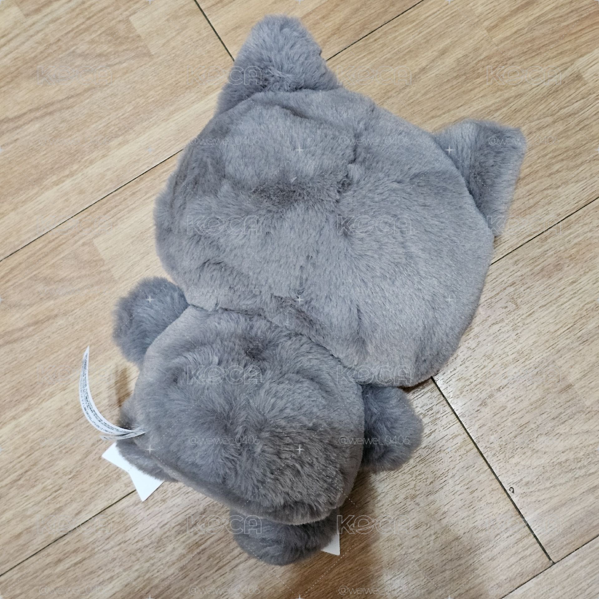 雄尼尼 zeroni HOME PARTY  中娃 蝴蝶結娃