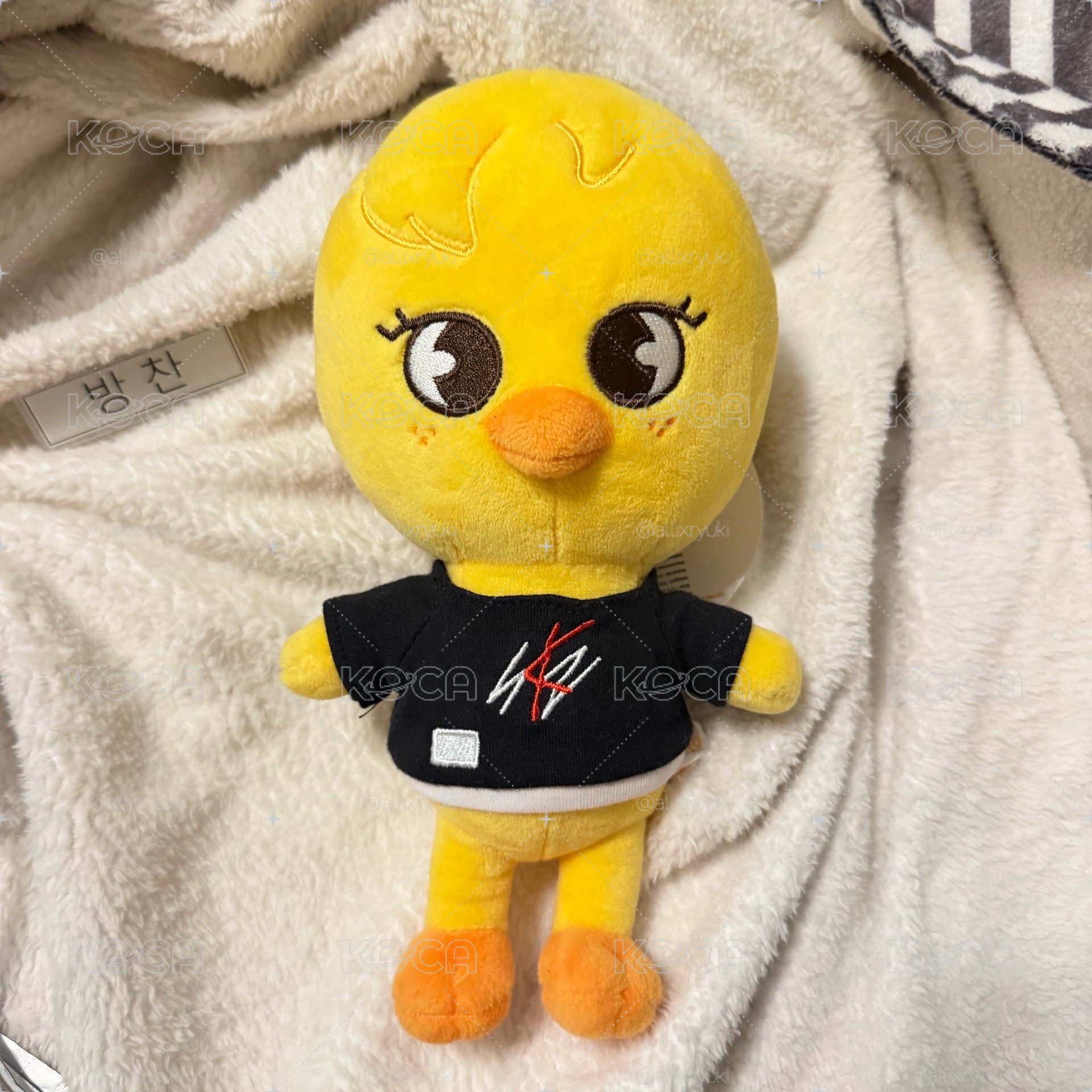 20cm波阿里