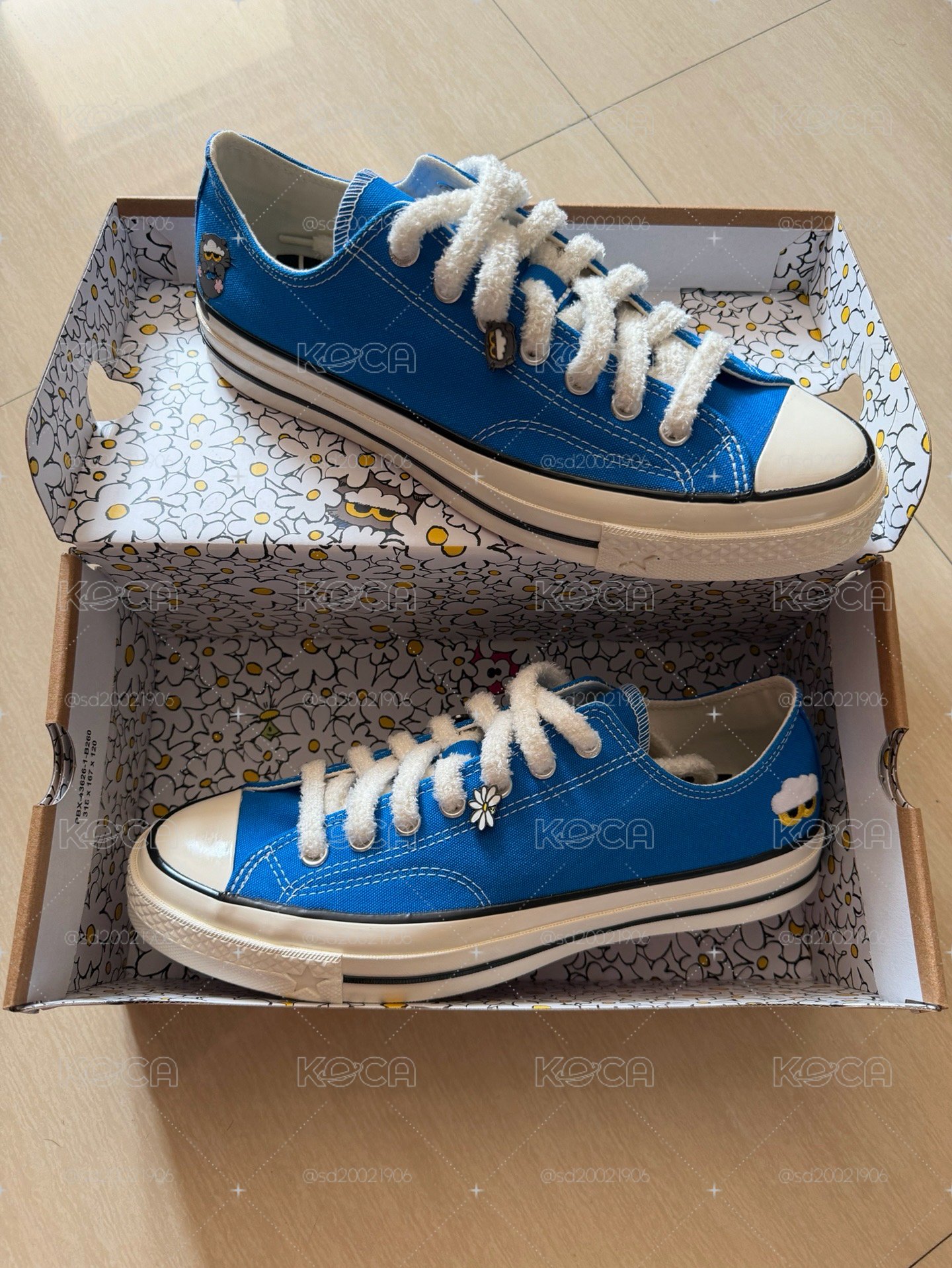 預購Zoa & Converse 