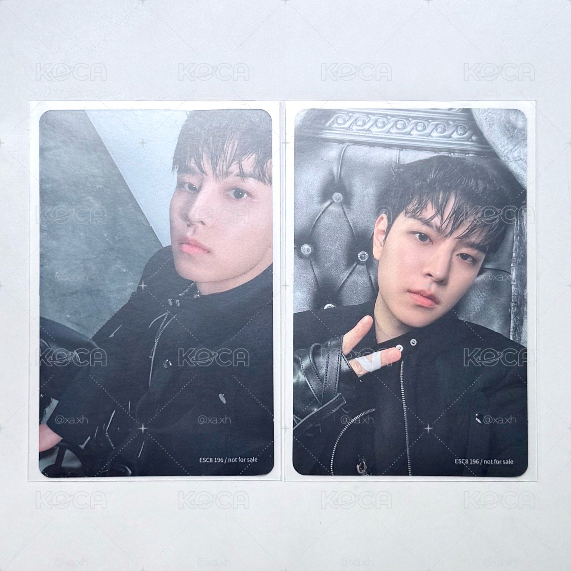 Search image