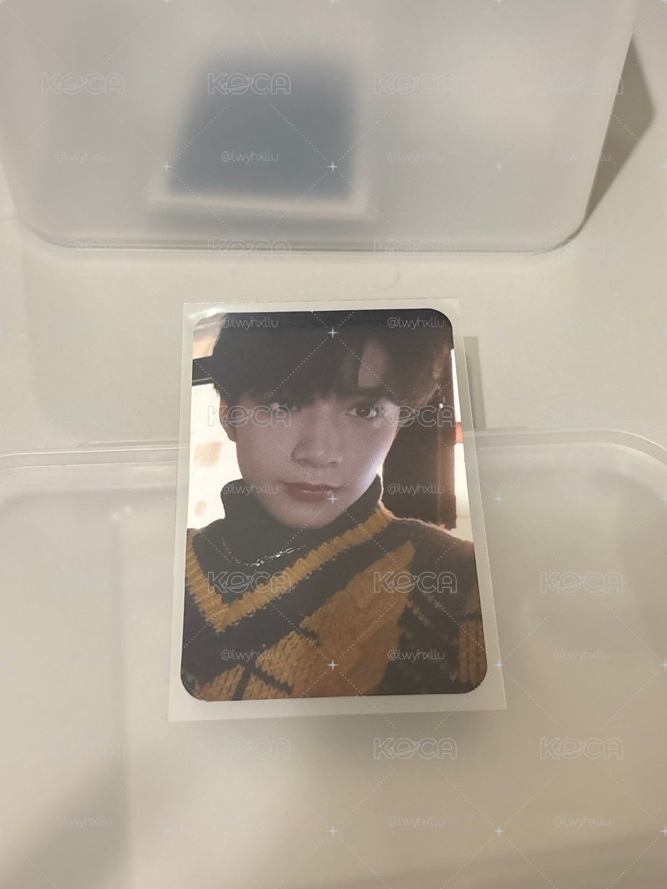 團雪狼